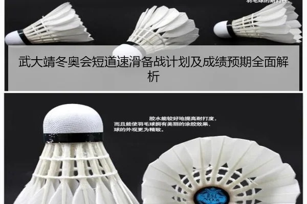 武大靖冬奥会短道速滑备战计划及成绩预期全面解析